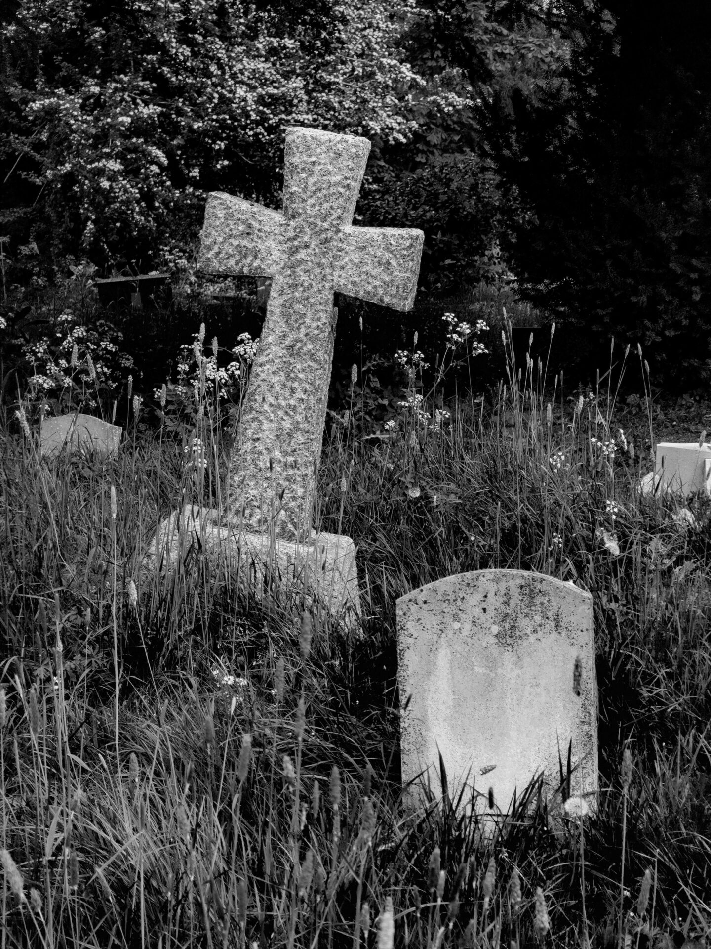 Monochrome cross gravestone in overgrown churchyard